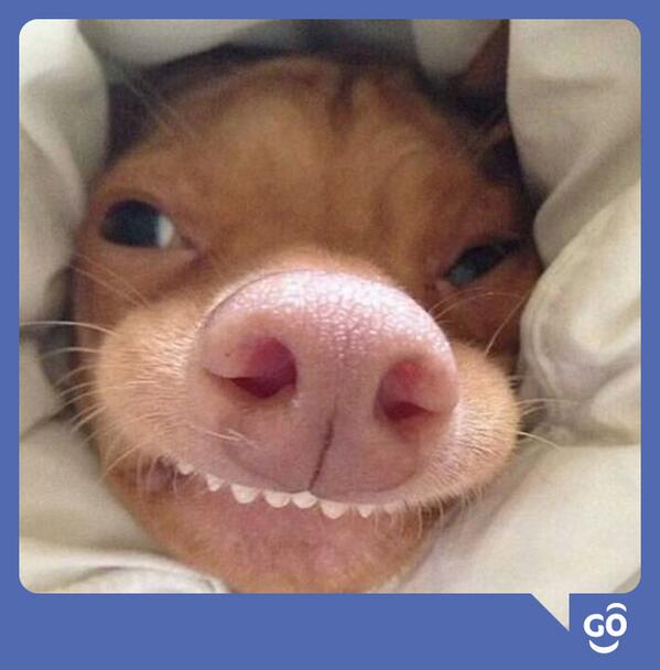 TigoParaguay's tweet photo. Tu cara de domingo :D #SmilePoint http://t.co/kwbTjdTavQ