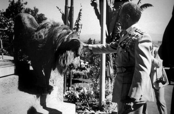 NewUBIA's tweet photo. Conquering Lion #HIM Haile Selassie I #Ethiopia http://t.co/2vJuoYHKPT