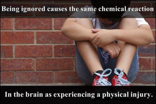 Fact's tweet photo. http://t.co/uktVQ8RtHR