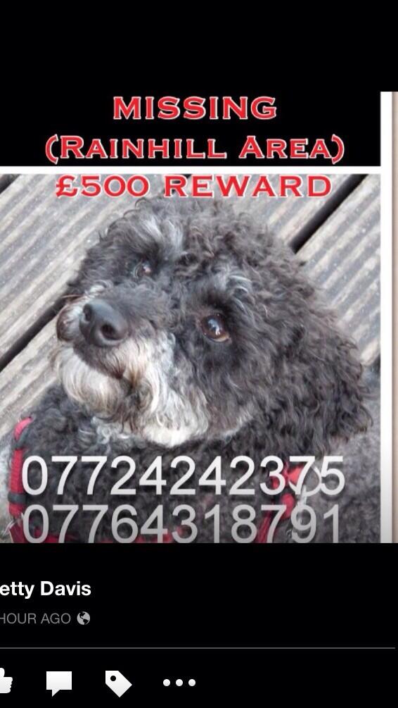 nettydavis1's tweet photo. @piersmorgan PLEASE RT, help us find little Harvey, been missing for 45 days in Rainhill, Merseyside! @Find_Harvey x http://t.co/r6SevRD1OQ