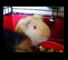 Fudge3squeak's tweet photo. http://t.co/7YmOKXoTr4