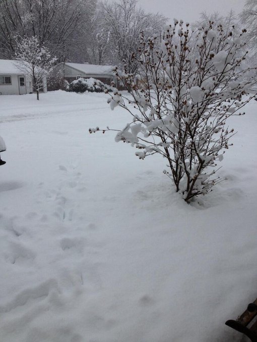 My mom just sent me this photo of outside her house. Lovin LA weather right now!! #yikes #snowdays http://t<a href="/tag/yikes"class="tags"><span>#yikes</span></a><a href="/tag/snowdays"class="tags"><span>#snowdays</span></a>