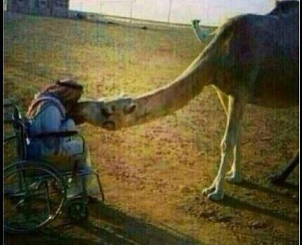 د.عمر الشمري tweet media