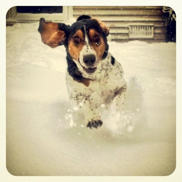 MsBridgetNelson's tweet photo. Sophia says: Happy Snow Day! See you all Tuesday now. http://t.co/OtqHODAJGh