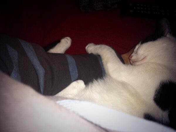 I stole my dads arm earlier... He didn't mind