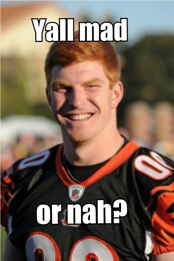 NickyTaytay's tweet image. Bengals fans #CincyProblems