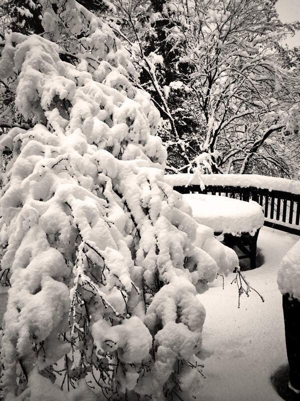 kalachnik's tweet photo. Crazy amount of snow in Indianapolis http://t.co/jj5S3rNl16