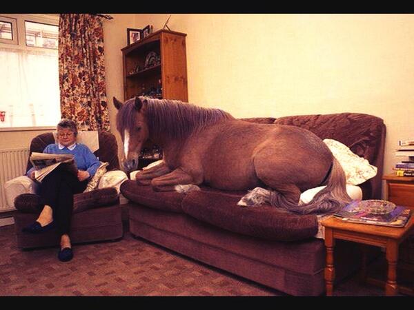 sonofbelial tweet picture