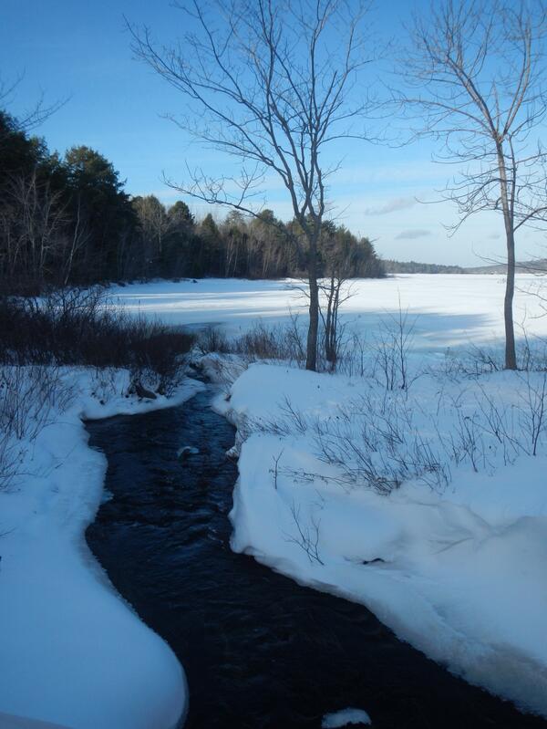 ShawnWoodford's tweet image. View from @LocalRecreation McDonald Park trail in Waverley today. Perfect Nordic ski conditions along Lake Thomas.