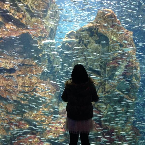1DAI_MAX's tweet photo. うまいこといかんな
俺が悪いだけやねんけどな http://t.co/vptcmMHgdj