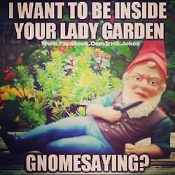 S3hun94's tweet photo. gnomesaying? http://t.co/gKPhOFhHp1