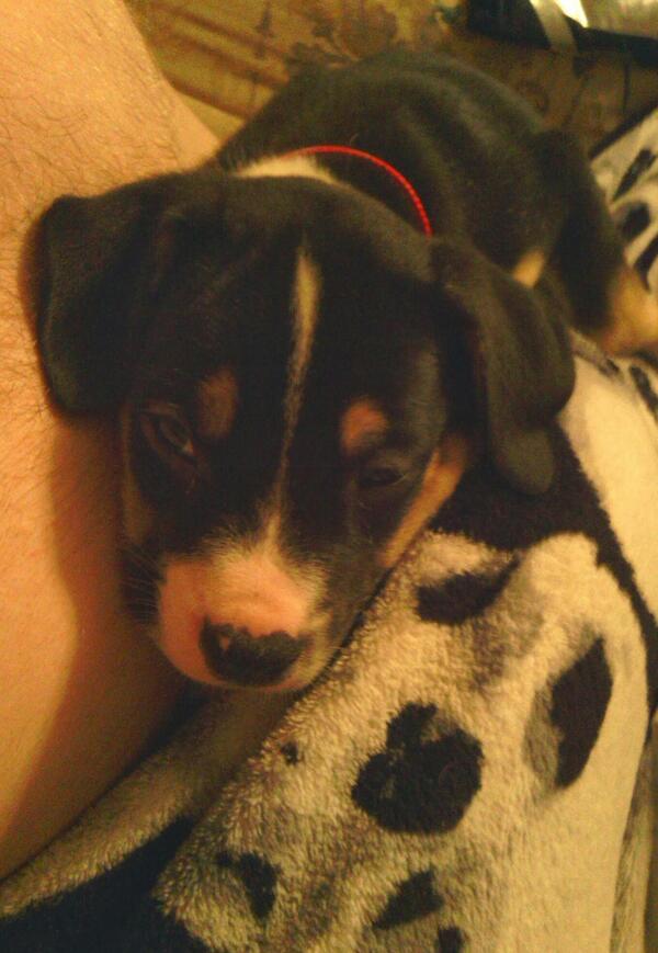 GoodWolf's tweet photo. I love you Lucien http://t.co/W9vrgRrDo4
