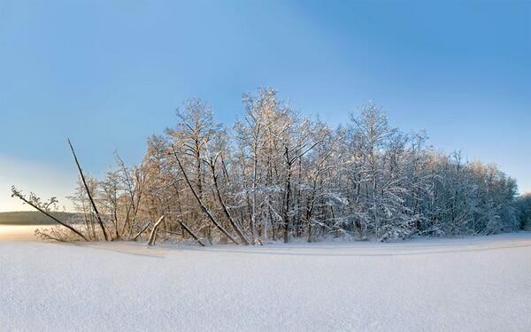 Вяземский снег. Оленегорске зимние пейзажи. Лесополоса зимой. Забайкальский край зимний пейзаж. Хубар зимний пейзаж.