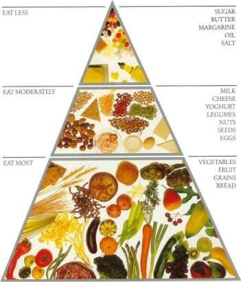 wiselifechoices tweet picture