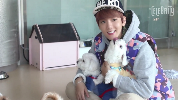 dididiayep's tweet photo. ถ้าพี่ชานแน่อย่าแพ้น้องหมา #มหกรรมชานยอลหลบไปแม่ๆจะหาผัวใหม่ให้แบคฮยอน http://t.co/6nKFXT13sA