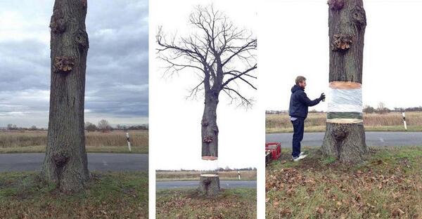 ohh_deer's tweet photo. Artists Daniel Siering and Mario Shu used foil and spray paint to magically levitate a tree in Potsdam, Germany. http://t.co/DfjYgfRh5F