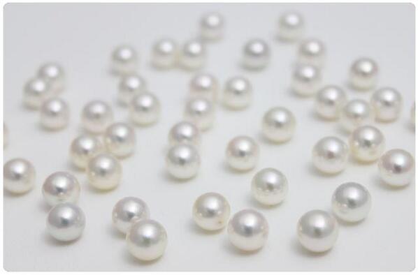 ラジオ キリスト教福音宣教会 聖書を楽しく解説 The Funniest Bible Lab ファニエスト バイブル ラボ