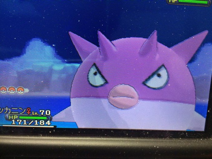 ポケモンxy 本日の釣果6日目 連続釣り ポケモンxy