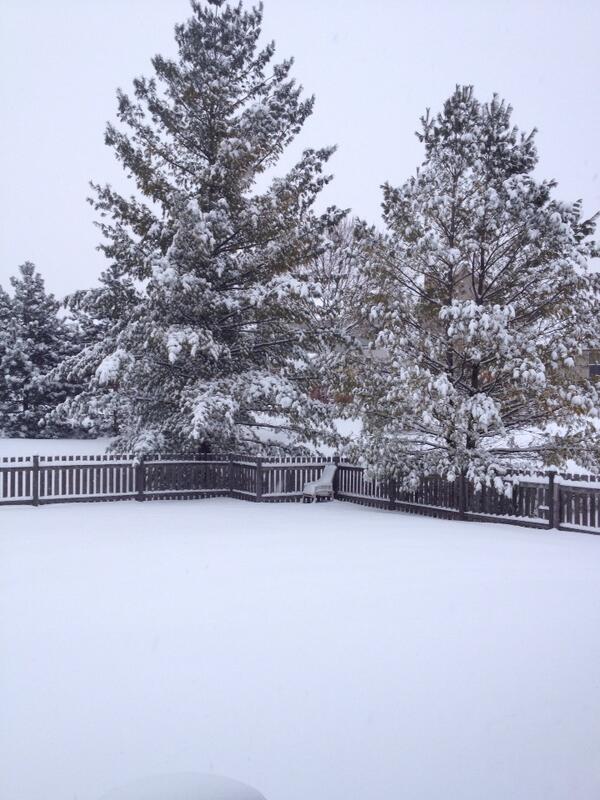 melabrams's tweet image. Bartlett IL #todaycold