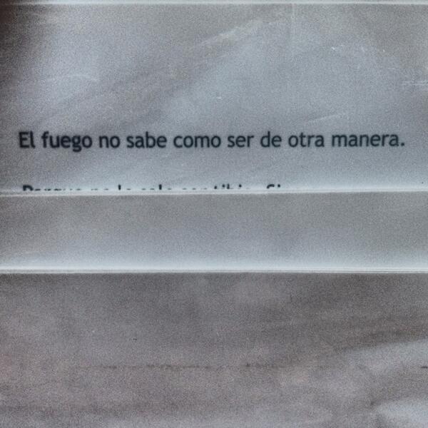 dignityrebel's tweet photo. bien warrior nena http://t.co/lS1T5mGn0r