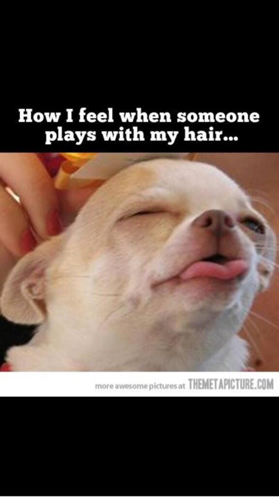 rowb91's tweet image. “@Tobe9020: @rowb91 http://t.co/2mRlnYr4u3” got that bang on there tobe