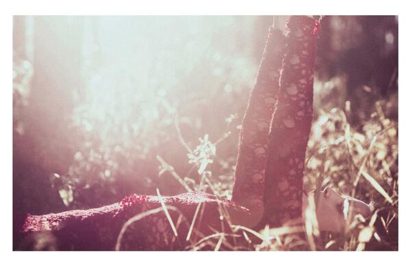 Simply CALU/ Beauty and Shine in <a href="/YEGUAmagazine/">YEGUA</a> PH <a href="/tomghiorzo/">tom ghiorzo</a> / @riverocalu <a href="/marourivero/">Observadora Participante</a> <a href="/carotorino1/">Caro Torino</a> <a href="/ANABONAMICO/">ANA BONAMICO</a>