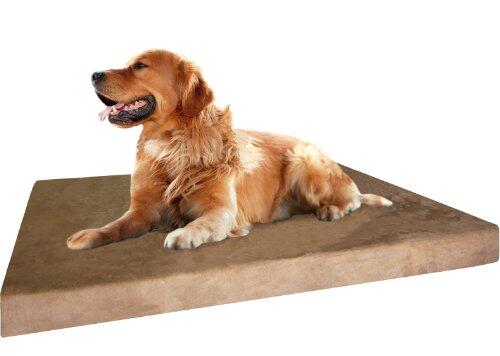 gdogstore's tweet photo. Memory Foam Dog Bed | SPX Orthopedic Grade Extra Large Brown Microsuede Waterproof Full ... -http://t.co/qdvwibTEuZ http://t.co/1cUow2HcXm