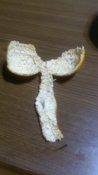 ぞうてきな。w http://t.co/lybUMCNmJB