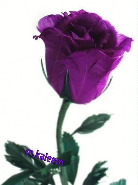boy_damay's tweet photo. betapa ku mencintaimu http://t.co/xOH9VwGIWq
