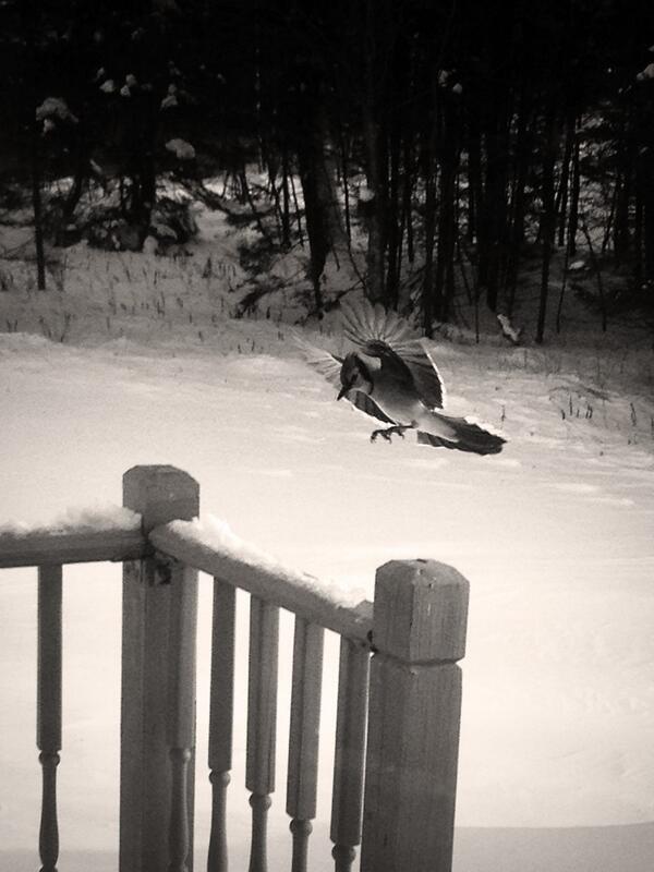 TgrayTyler's tweet image. 