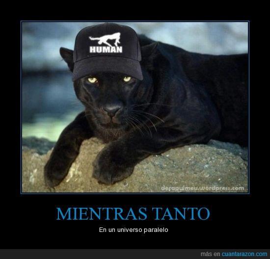 NNicolasCage's tweet photo. MIENTRAS TANTO.. http://t.co/opf7R0ze1l