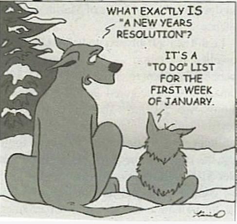 mango_grump's tweet image. And I think I am done with it. #newyearsresolutionfail