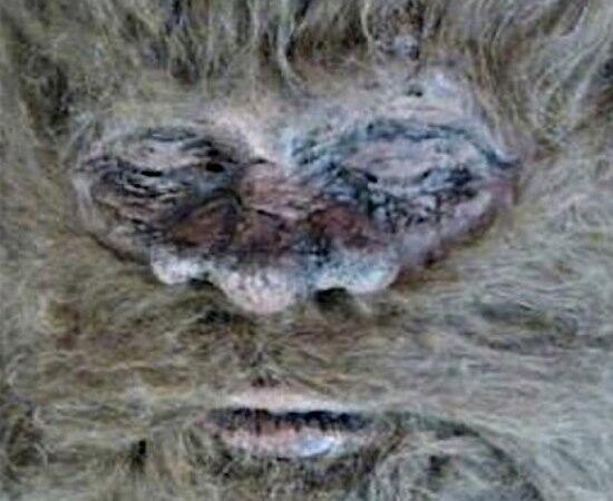 JornalCiencia's tweet photo. Americano diz que matou o lendário “Pé Grande” e irá mostrar ao mundo o corpo e o DNA.  http://t.co/hoG0x88sSn / http://t.co/V1uur2THEr