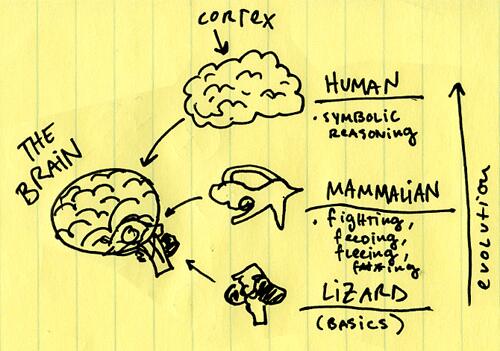 donmetznik's tweet photo. People don't make buying decisions - their brains do. So marketing to the customers' brains. http://t.co/nv2cynX9uj