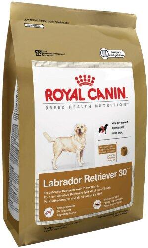 gdogstore's tweet photo. Royal Canin Dog Food | Royal Canin Dry Dog Food, Labrador Retriever 30 Formula, 30-Pound Bag -http://t.co/mmHI6MGS6S http://t.co/r8SCsIg7c5