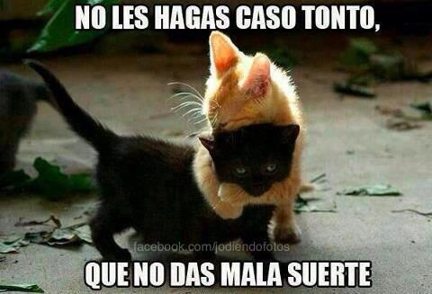 RinconDeWally's tweet photo. No les hagas caso... http://t.co/PX4H7KAtzw