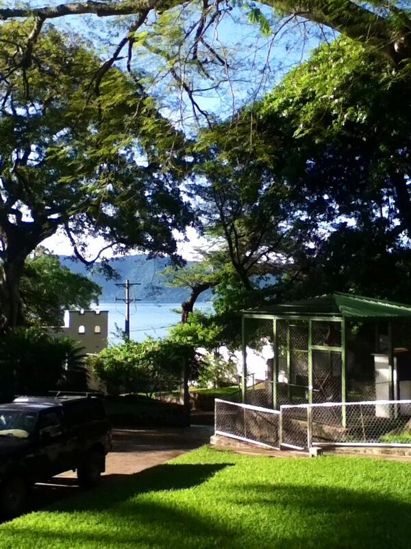 SaraConner24's tweet image. This sounds about perfect right now. #ElSalvador #Sunshine #OverTheCold 👌😍☀