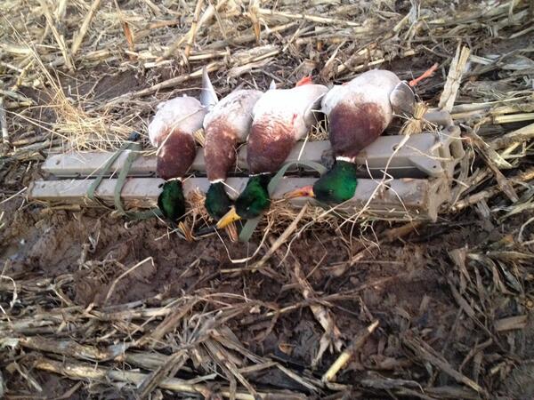 SDG_Calls's tweet image. Go over an check out @faststrikeblind These blinds work in many different situations! #Follow #CheckEmOut