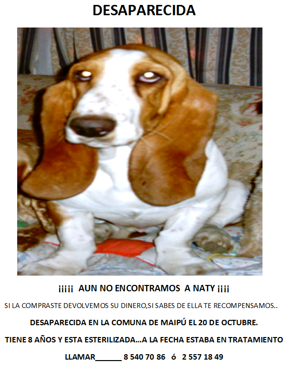 RT <a href="/jostrip/">jocelyne berrios</a>: <a href="/Ceci1222/">Miss K</a>  CECI  FAVOR RT MI NATHY AUN NO APARECE!!!!!!  // <a href="/carolinapinoc/">Caro 🌲 C.</a> <a href="/botaspuesta/">Paula BotasPuestas</a> <a href="/MascotDFLCondes/">MascotadifLCondes.cl</a>