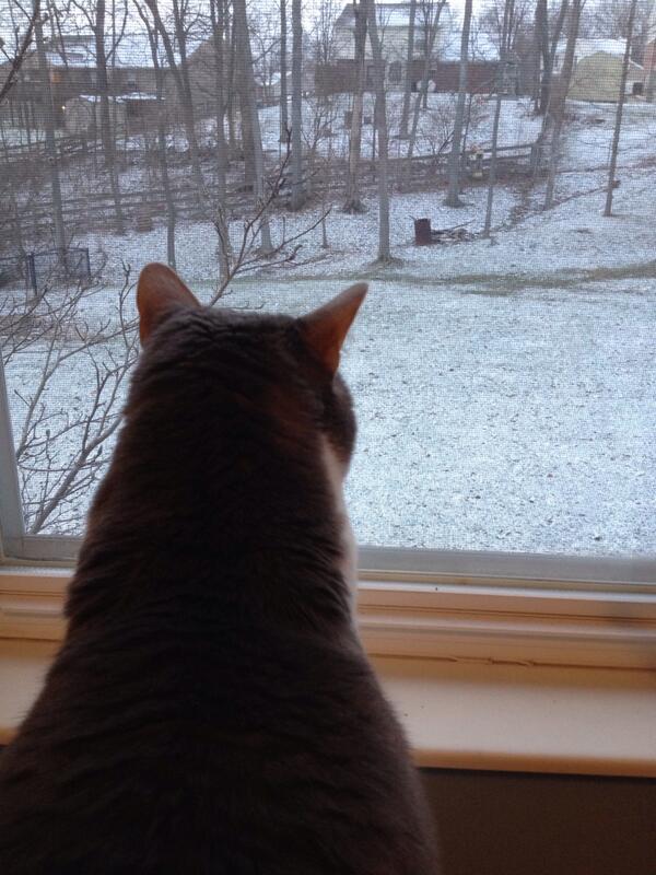 Elphabutt's tweet photo. *ponders life's greatest mysteries* http://t.co/UvGVje4yoC