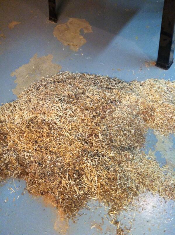 Dust is flying in the shop!  Filling some orders and getting ready for my first callmakers competition. #turkeyscall