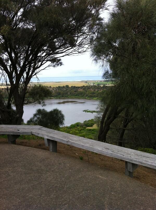 Tim Dhillon tweet media