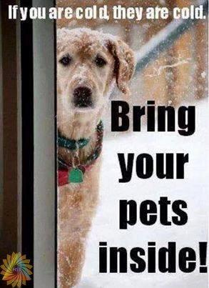 LTurnerATL's tweet photo. #DeepFreeze14 Please remember pets! Reminder from GA Center for Humane Education http://t.co/CtiiP0JqTr