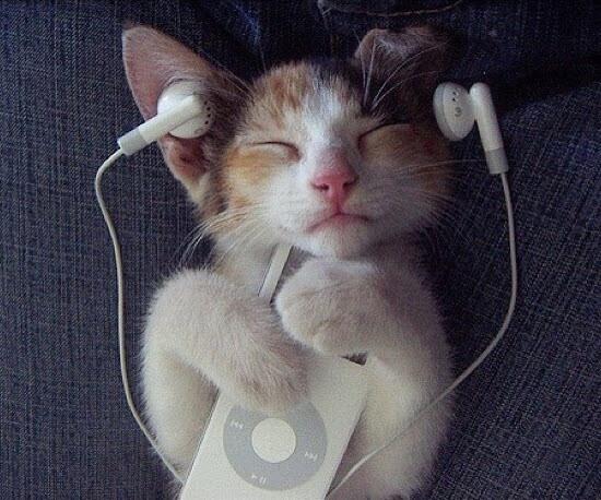 BryanStars's tweet photo. Cute http://t.co/fi5lVlrcct