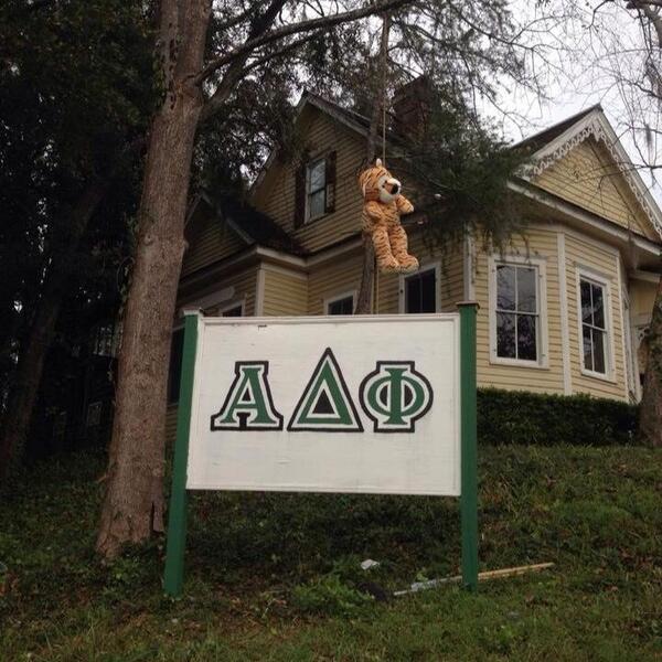 BamaAlphaDelt's tweet photo. Roll Noles! http://t.co/MaYbjqveah