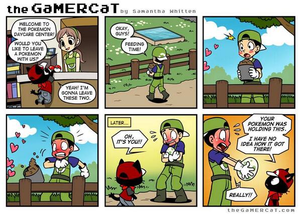 PokePicts's tweet photo. I have no idea how it got there http://t.co/AB2D7HoGGj