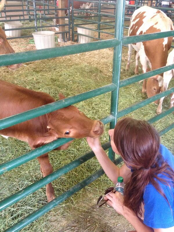RanchersDaughter tweet media