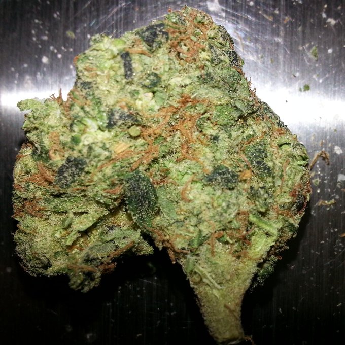 Watch Gz.Est.Dec31st.91''s leaked NSFW photo on TwXstars