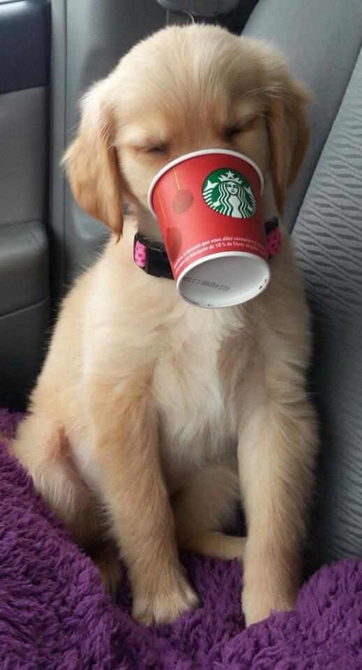 Southernclass18's tweet image. The cutest thing I've ever seen 😍