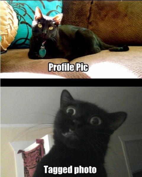 samparkercouk's tweet image. Facebook reality.